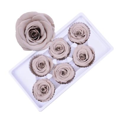 China Culinan Wholesale 5-6Cm Flower Eternal Roses Preserved Rose Immortal Preserved Flower Diy Christmas Teachers Day 5-6cm for sale