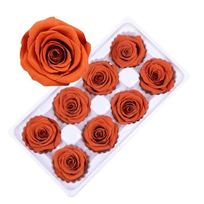 China Wholesale Romantic Eternal Blue Black Gold Material 4-5Cm Culinan Flower Red White Preserved Flower Roses For Mothers Day 4-5cm for sale