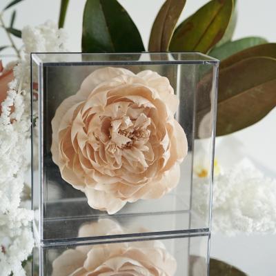 China Hot Selling 2021 Natural Fresh Rose For Mothers Day Gifts Eternal Flower Immortal Preserved Peony Forever In Mirror Box for sale