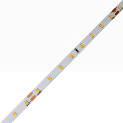 China LANDSCAPE 64 led high effciency 24v warranty 2835 waterproof led strip light flexible for sale