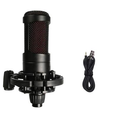 China High quality professional shock mount KTV studio condenser microphone produced by Chinese manufacturers FF2058 for sale