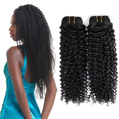 China Burmese Curly Curly Hair Bundles Wholesale Seller Curly Hand Tied Hair Weft Extensions for sale