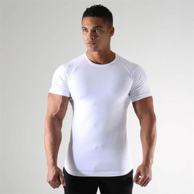 China Custom Logo 95% Anti-Wrinkle QYOURE MTS01 Cotton 5% Spandex Round Neck Mens Fitness Workout Gym Sports Tees for sale