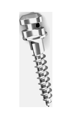 China Westlake Orthodontic Mini Schroeven Titanium legering 1.4x6 1.4x8 1.6x10 1.4x12 Te koop