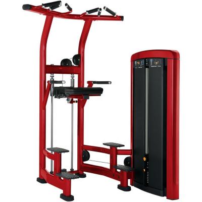 China New Style Commercial Life Series Commercial Use Pin Loaded Assisted Chin Up Immersion Gym Exercise Machine for sale