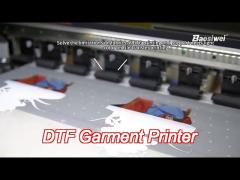 Dtf Garment Printer  60 Cm 4 Epson I3200