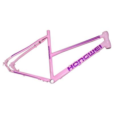 China New City Bicycle+Frame TT Bicycle Frame Bike 2019 Aluminum Tube for sale