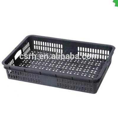 China Supermarket Light Duty Black Plastic Basket For Vegetable And Fruit Shelf Storage Basket for sale