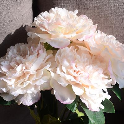 China Beautiful Peony Colorful Wedding Decor Silk White Roses Flower Backdrop Panel Indoor Decorative Flowers Artificial Flower for sale