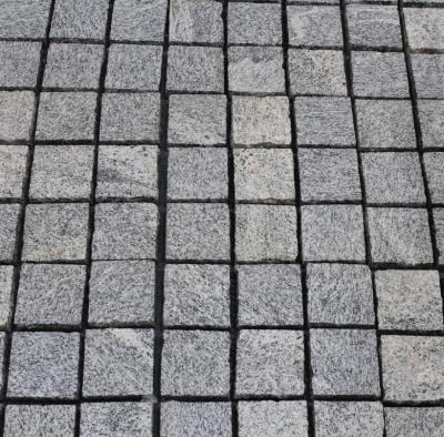 China Natural Black White Paver 100 X100 Modern Outdoor Driveway Paver Granite for sale