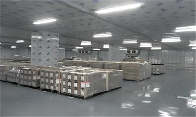 China 10m3 - 100m3 Industrial Cold Room Freezer Polyurethane Insulating Cold Storage Room for sale