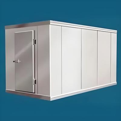 China Digital Temperature Controlled Mobile Cold Storage Units Customized With Sliding Door for sale