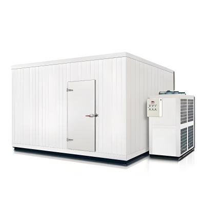 China Commercial Cold Storage Room Stainless Steel Cold Room And Freezer Room for sale