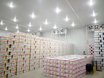 China Polyurethane Insulation Cold Store Room Automatic Defrosting Storage Cold Room Container for sale