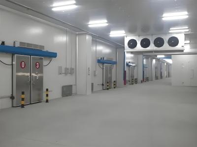 Cina Sala frigorifera a porta scorrevole con controllo di temperatura digitale in vendita