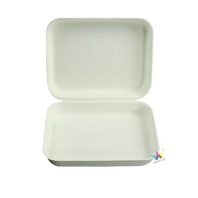 China Shipping High Quality Disposable Paper Biodegradable Pulp Divided Lunch Tray Sugar Cane Pulp Meat Tray for sale