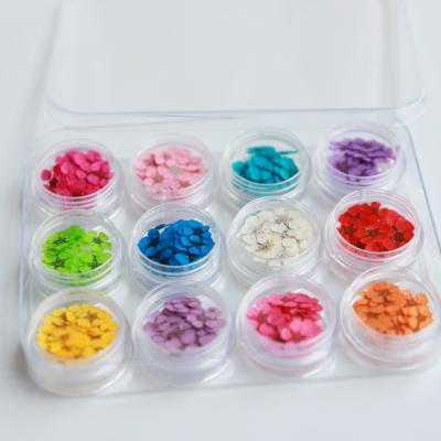 China Fashionable 3D Flowers Dry Flower DIY Stickers Real Dry Nail Art Decoration Tips Manicure Tools for sale