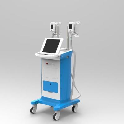 China 10.4 inch touch color screen Cryolipolysis Body Liposuction Machine portable for sale