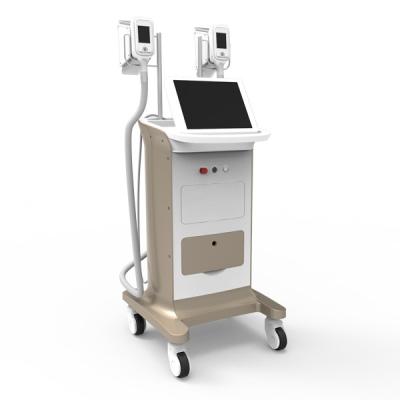 China 2 large size handles/quick and amazing results / High Quality Cryolipolysis Equipment for sale