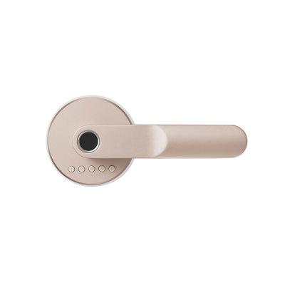 China Wooden Door Hotel Apartment Bedroom Fingerprint Password Door Lock Single Keyless Door Lock for sale