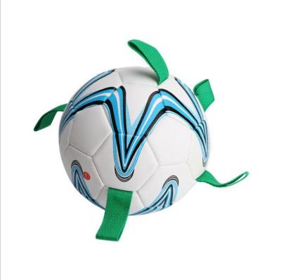 China Sustainable Durable Interactive Outdoor Dog Toys Soccer Ball With Binding Tables Dog Foot Ball Toys For Conflict for sale