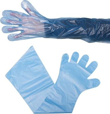 China Clearning manufacturers wholesale disposable plastic blue cpe cleaning animal husbandry gloves for sale