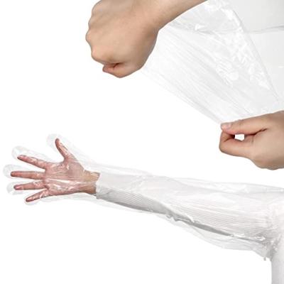 China Clearning Plastic Sheet Cpe Gloves Arm Inspection Disposable Soft Artificial Insemination Long Gloves for sale