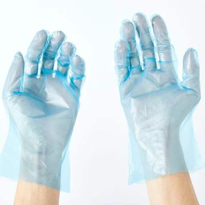 China Hot Selling Disposable Band Disposable Custom Waterproof Glove Kitchen Disposable Glove for sale