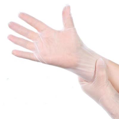 China MODERN LIFE PLASTIC GLOVES DISPOSABLE GLOVES FOR FOOD PROCESSING INDUSTRY for sale