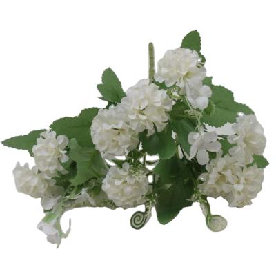 China Hydrangea Bush -25