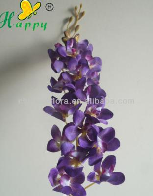 China Fashion Wholesale Nice Flowers Orchids Natural Plant for sale