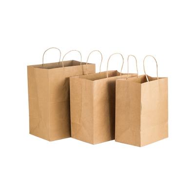 China Recyclable White And Twisted Brown Kraft Paper Handle Shopping Carrier Bag With Logo Printed for sale