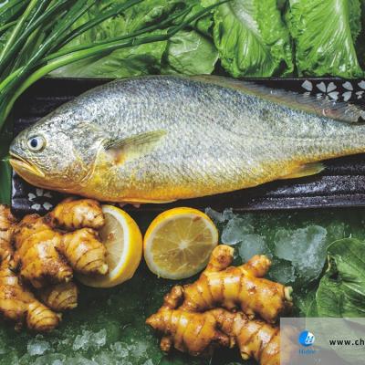 China Doomsayer Seafood Hidee Pomfret Golden Shrimp From Doomsayer Foods Ocean Products Fishing Organic Frozen Yellow Aquatic Sea Bass for sale