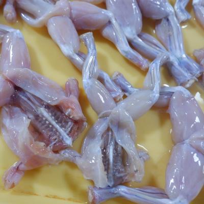 China Vitamins Hidee Fish Farm Wholesale Price Frog Legs Taste Fresh Frozen for sale