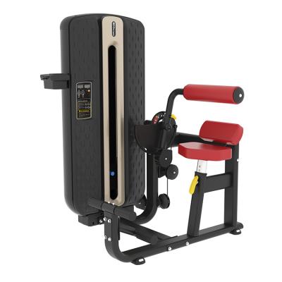 China 2021 Commercial Gym Equipment Factory Price Strength Training Isolator Abdominal Strength Machine for sale