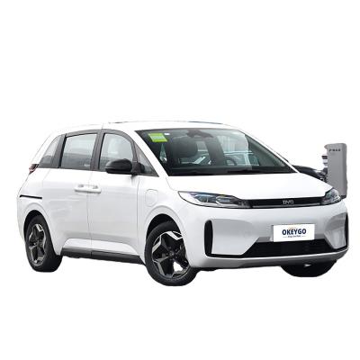 China Leather Affordable Factory Direct Supply Left Steering Fully Stocked Eco-Friendly 0km Used EV Car With Long Wheelbase for sale