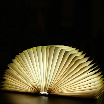 China Hot selling flexible paper +pu 2021 LED book light, book shape decorative table lamps for sale