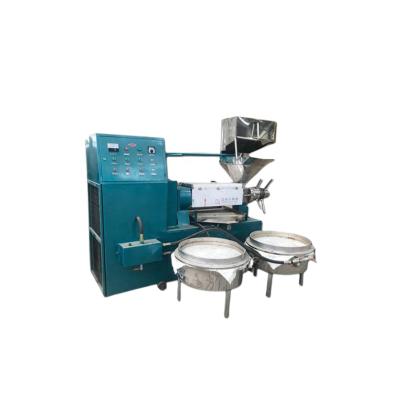 China High Oil Yield Efficiency Screw Oil Press Machine For Small Business for sale