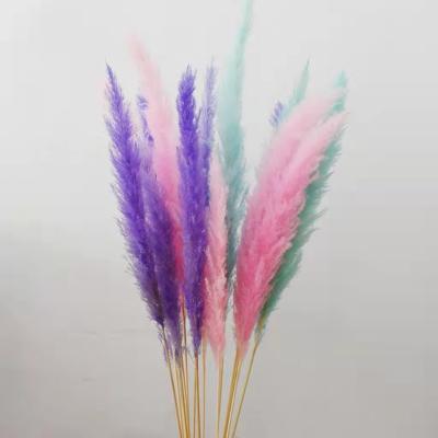 China Romantic Flowers Competitive Price Wedding Decorations Pampas Grass Pink for sale