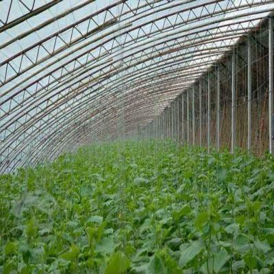 China Agricultural Cultivation Reinforced PE Greenhouse Thermal Film for sale