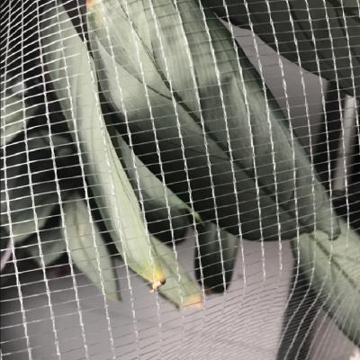 China Agriculture Use Bird Trap Net for sale