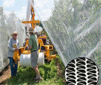 China Agriculture Use UV Treated Vineyard Used Anti Hail Net for sale