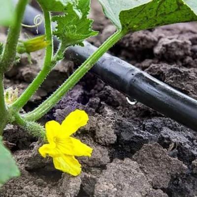 China High Strength Agricultural Watering Inlay Drip Irrigation Black Belt for sale