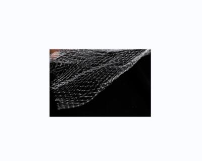 China Plant Protection Against Bird Plastic Anti Bird Netting For Protective Bird Net Bird Hunting for sale