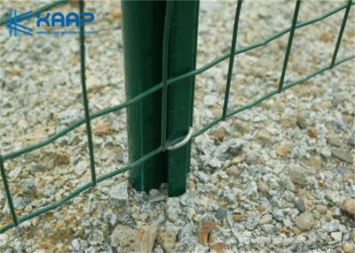 China Q195 Iron Wire Welded Wire Mesh Anti Rust for sale