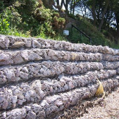 China Hdg 80x100 4.0mm Dia Welded Mesh Gabion Baskets Te koop