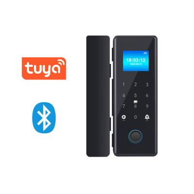 China 2.5D Panel 1.77 Inch TFT Fingerprint Password Card Tuya Bluetooth Hook Bolt Smart Glass Door Lock 100 for sale