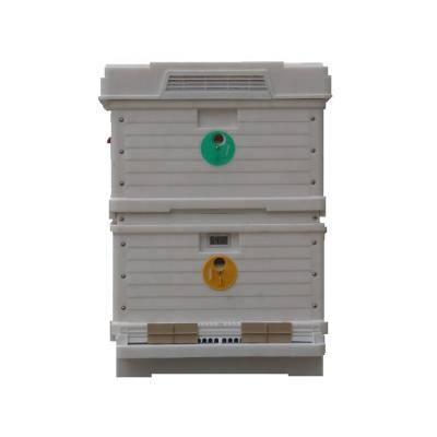 China New Style Plastic Langstroth Bee Box Integrated Molding Hive With A Thermometer for sale