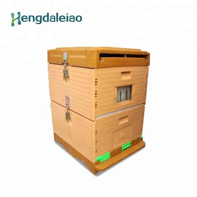 China Polystyrene Beekeeping Integrated Molding Plastic Hive For Bee for sale