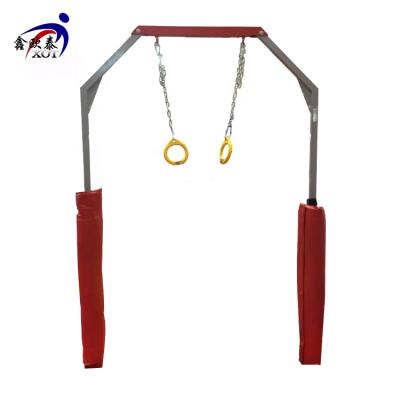 China Eco - Friendly Indoor Gym Bar Fitness Workouts Rings Exercises for sale